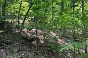 220 Yanegwa Knoll, Dawsonville, GA 30534 - Photo 8