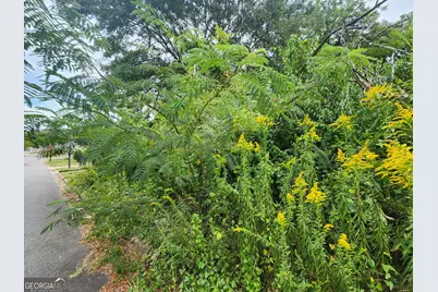 727 Smith Street, Macon, GA 31217 - Photo 12