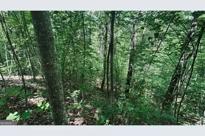 409 &amp; 411 Barefoot Rise, Hiawassee, GA 30546 - Photo 4