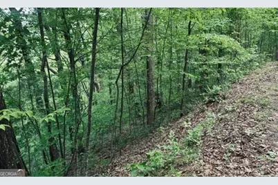 409 &amp; 411 Barefoot Rise, Hiawassee, GA 30546 - Photo 10