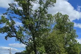 37 Erwin St, Clayton, GA 30525 - Photo 4