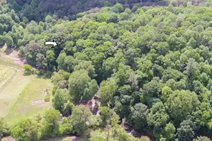 321 Call-Wright Rd, Ellijay, GA 30540 - Photo 92