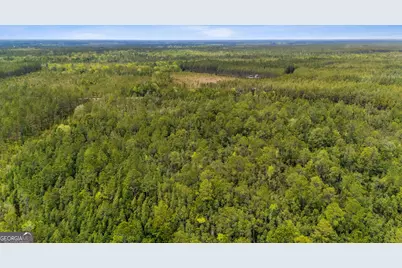 V/L 102 Old Reserve Road, Waverly, GA 31565 - Photo 14