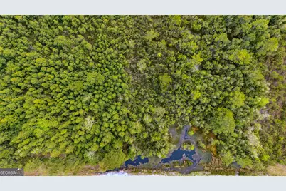 V/L 102 Old Reserve Road, Waverly, GA 31565 - Photo 10