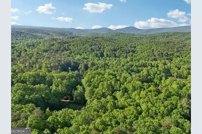 43 Smith Circle, Dawsonville, GA 30534 - Photo 8