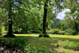 3939 Georgia Hwy 3/Old Atl Rd, Griffin, GA 30223 - Photo 4