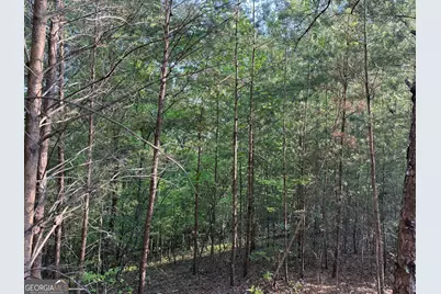 502 River Hills Road, McCaysville, GA 30555 - Photo 4