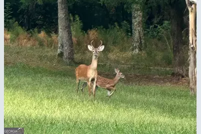 2150 Bobby Brown State Park Road, Elberton, GA 30635 - Photo 26
