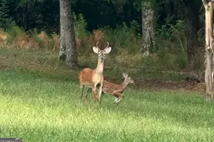 2150 Bobby Brown State Park Rd, Elberton, GA 30635 - Photo 26