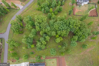 1371 Bayside Drive, Greensboro, GA 30642 - Photo 12