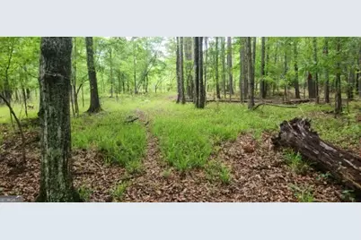 678 Seabolt Road, Locust Grove, GA 30248 - Photo 8