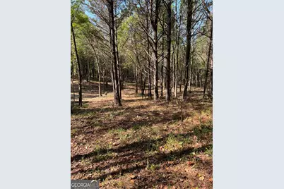 850 Browning Road, Jasper, GA 30143 - Photo 6