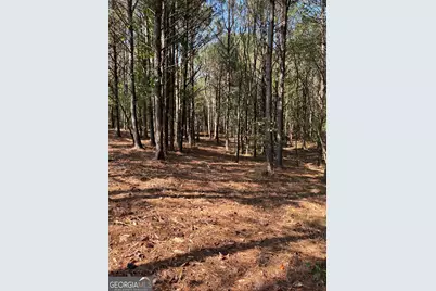 800 Browning Road, Jasper, GA 30143 - Photo 6