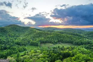 312 Covered Bridge Ln, Blue Ridge, GA 30513 - Photo 56