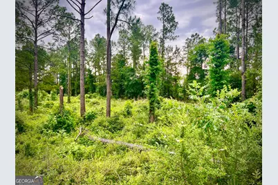 0 Walke Dairy Road, Dublin, GA 31021 - Photo 6