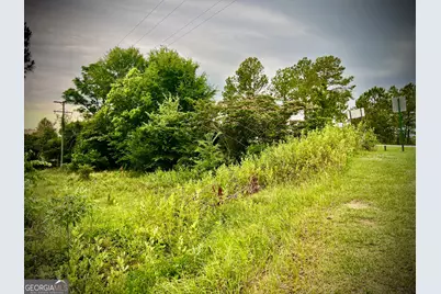 0 Walke Dairy Road, Dublin, GA 31021 - Photo 8