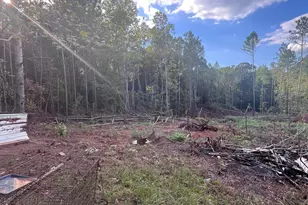 109 Gainer Rd, Griffin, GA 30223 - Photo 2