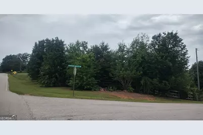 0 Pebble Creek Lane #9, Alto, GA 30510 - Photo 2