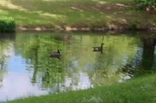 531 Grant Rd, Brooks, GA 30205 - Photo 72