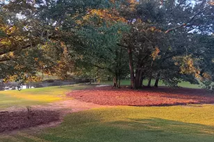 531 Grant Rd, Brooks, GA 30205 - Photo 96