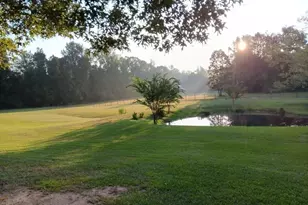 531 Grant Rd, Brooks, GA 30205 - Photo 92