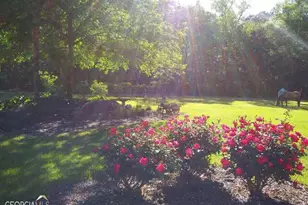 531 Grant Rd, Brooks, GA 30205 - Photo 74