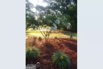 531 Grant Road, Brooks, GA 30205 - Photo 68