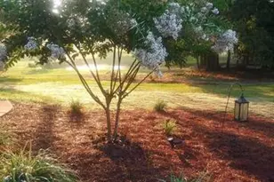 531 Grant Rd, Brooks, GA 30205 - Photo 68