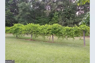 531 Grant Road, Brooks, GA 30205 - Photo 82