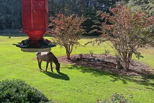 531 Grant Rd, Brooks, GA 30205 - Photo 4