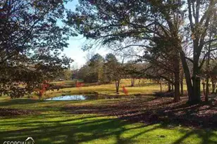 531 Grant Rd, Brooks, GA 30205 - Photo 90