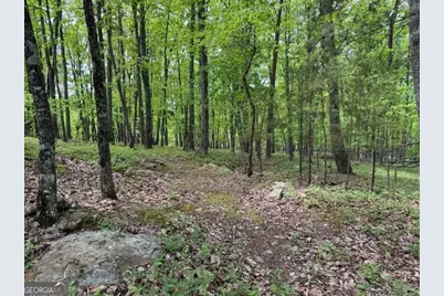 251 Owl Ridge Way, Jasper, GA 30143 - Photo 8