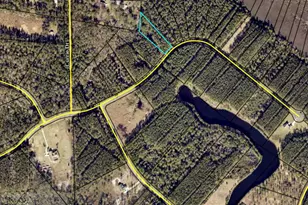 V/L 19 James Ln, White Oak, GA 31568 - Photo 1