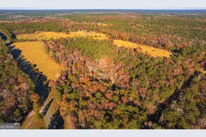 0 Pine Grove Church Road #LOT 1, Culloden, GA 31016 - Photo 1