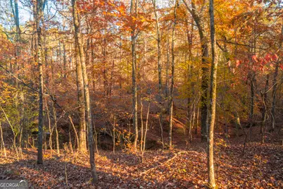 0 Pine Grove Church Road #LOT 1, Culloden, GA 31016 - Photo 4