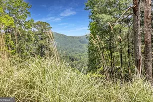 376 Eagles Rest, Blairsville, GA 30512 - Photo 2