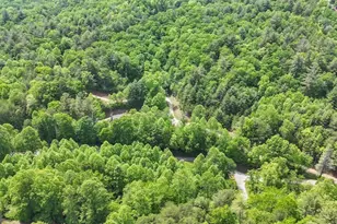 376 Eagles Rest, Blairsville, GA 30512 - Photo 28