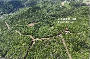 376 Eagles Rest, Blairsville, GA 30512 - Photo 40