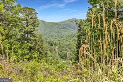 376 Eagles Rest, Blairsville, GA 30512 - Photo 22