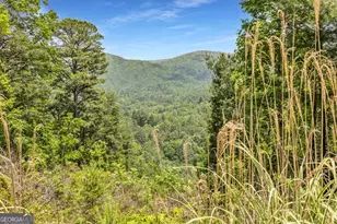 376 Eagles Rest, Blairsville, GA 30512 - Photo 22