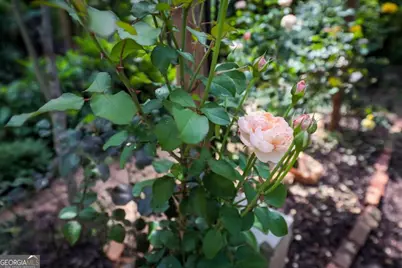 176 Oakland Way, Dallas, GA 30157 - Photo 54