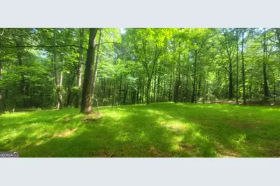 121 Pinedale Circle, Griffin, GA 30224 - Photo 2