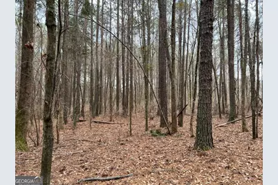Lot B Salem Road, Watkinsville, GA 30677 - Photo 22