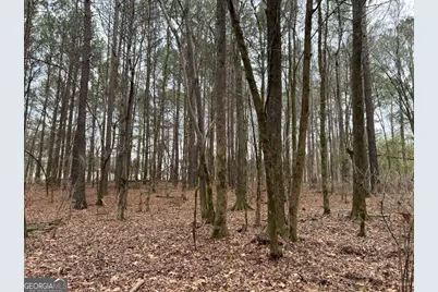 Lot B Salem Road, Watkinsville, GA 30677 - Photo 20