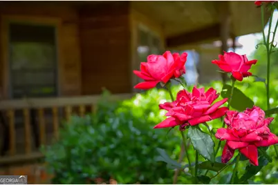 3947 Americus Highway, Dawson, GA 39842 - Photo 16