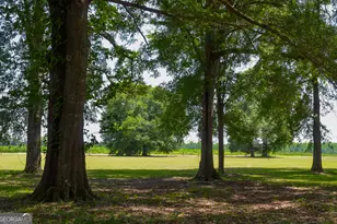 3947 Americus Hwy, Dawson, GA 39842 - Photo 18