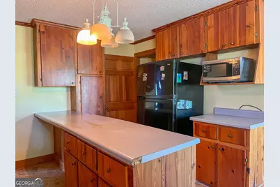 3947 Americus Highway, Dawson, GA 39842 - Photo 6