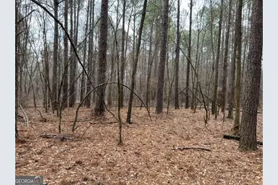 Lot D Salem Road, Watkinsville, GA 30677 - Photo 16