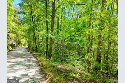 135 (Lot 5) Whispering Dale Road, Clarkesville, GA 30523 - Photo 8