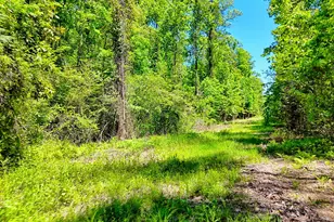135 (Lot 5) Whispering Dale Rd, Clarkesville, GA 30523 - Photo 1